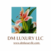 DM Luxury LLC
