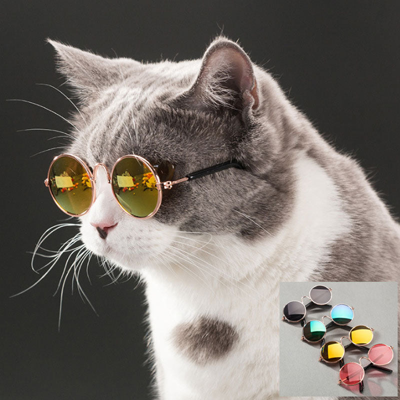 Pet Cat Glasses Dog Glasses Pet Products for Little Dog Cat Eye Wear Dog Sunglasses